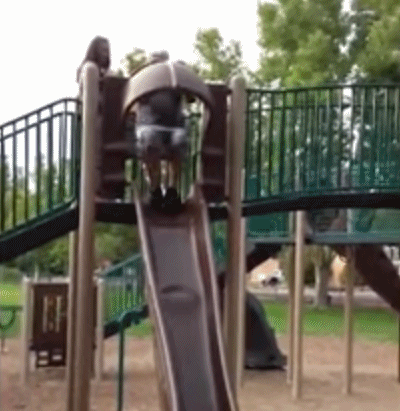 |搞笑GIF:这是谁家的闺女