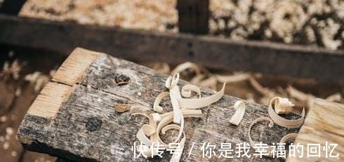 樟子松|买实木家具什么木材好越不知道越要搞懂这几点,闭眼也能挑好的