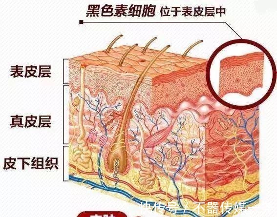 曲酸|美白成分怎么选？这样挑美白成分，不仅效果最好，还不浪费钱！