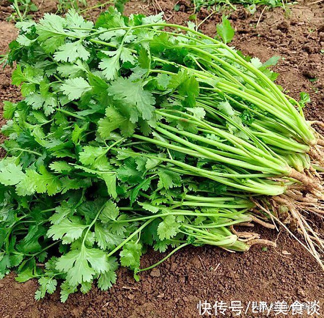 荠菜|春天饮食要“少酸多甘”，6种美食记得吃，应季而食，安康迎春天