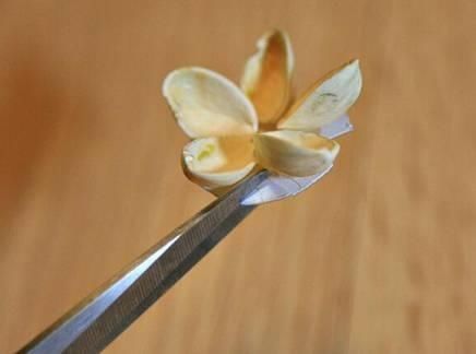 保证|吃完的坚果不能丢,坚果壳变身记,保证创意一箩筐