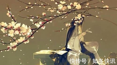 孔文举@四本经典架空历史小说,看进去停不下来的那种,通宵都是基本操作