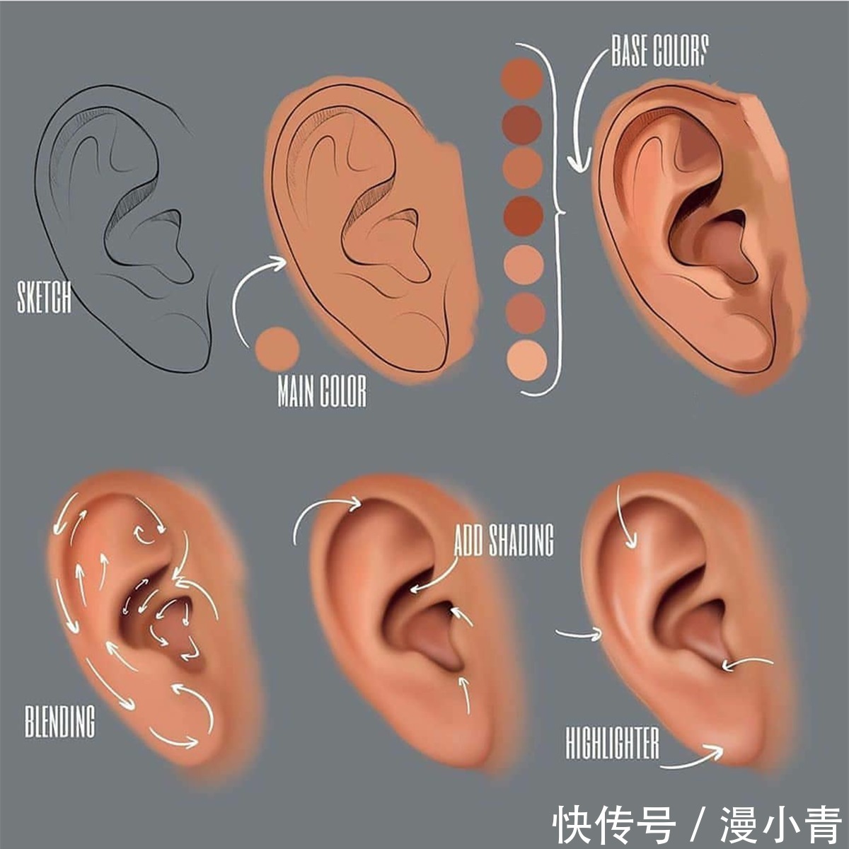 画画$画师教导大家如何去分步画画，眼睛似乎看懂了，但是手却学不会