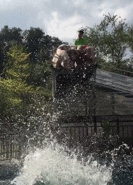 |搞笑GIF: 看着都觉得尴尬 下次就别在这种场合秀身材了