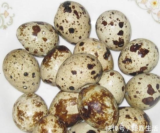 乳糖|鹌鹑蛋好吃,却不能乱吃,吃鹌鹑蛋有1大禁忌,还有人啥也不明白
