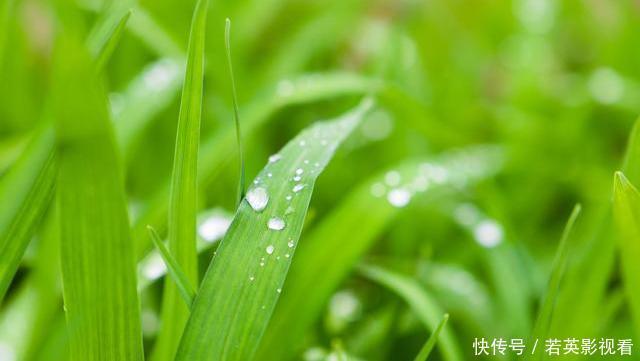 脾胃功能|脾虚的“诱因”被揪出!谨记:喝2水、吃2物,脾不虚、病不找