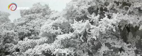 美！鸡足山：雪中云海胜似仙境！