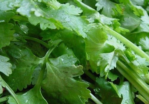 淤血肿痛|长寿老人推荐吃3种食物，美容养生、增强体质，早吃早好！