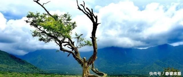 景点|隐藏在四川的“仙境”之地，不仅鲜有人踏足，还是大熊的放归地