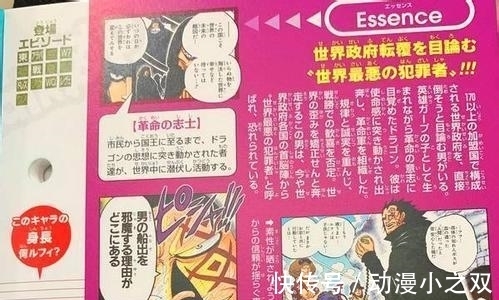 尾田|海贼王: 确定了, 革命军龙的果实能力曝光, 尾田公布龙还有身份