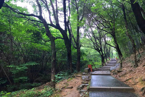 苏州一处适合养生的景点，是苏州地区最大的“天然森林氧吧”