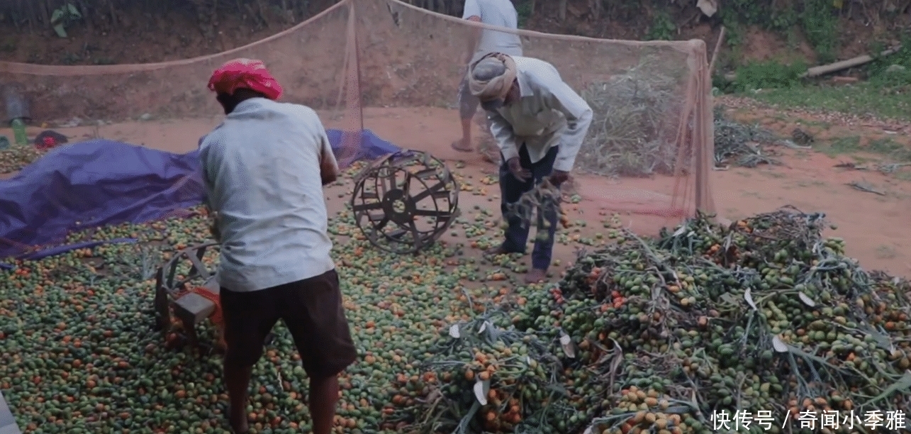  禁售|让中国6000万人吃上瘾的“食物”，却被美国全面禁售！