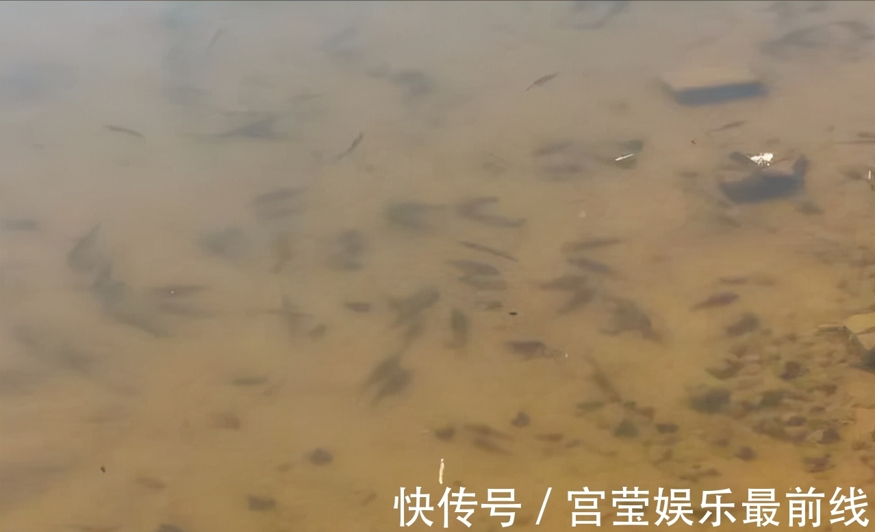 冬季钓鱼不用早起?老大爷起得比夏天还早,大板鲫用桶装!