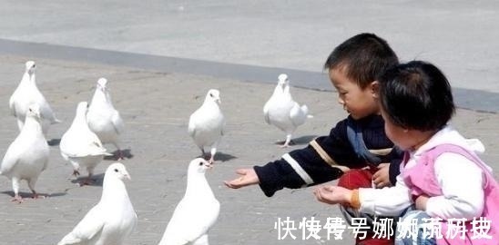 脾胃衰弱|4岁女童脾胃衰弱,育儿主任:3种食物或会“毁掉”孩子胃脾