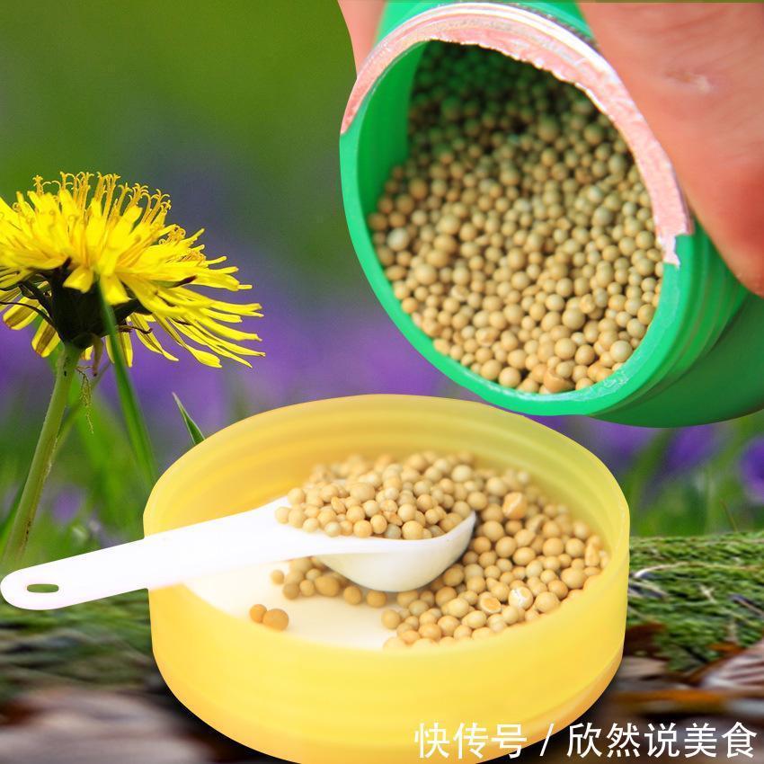 什么淘米水、啤酒水都不如“这样”施肥，用对方法，才能多开花