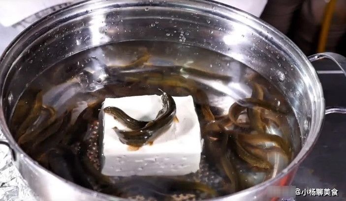泥鳅钻豆腐|东北名菜泥鳅钻豆腐，只要有一两条泥鳅钻进去，就算是成功了
