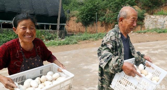 鸭蛋和鸭蛋通常被许多人吃,为什么很少吃鹅蛋答案很简单
