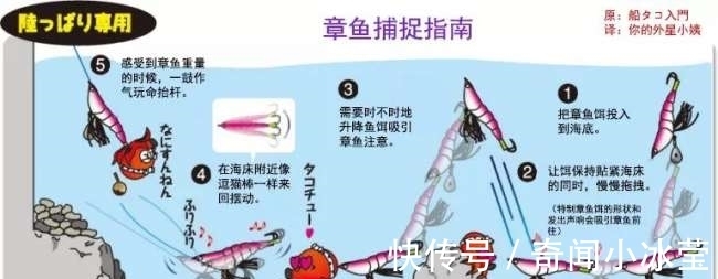 捕捉|颜色鲜艳、身上有洞，日本人竟然用美少女来捕捉章鱼，效果还不错