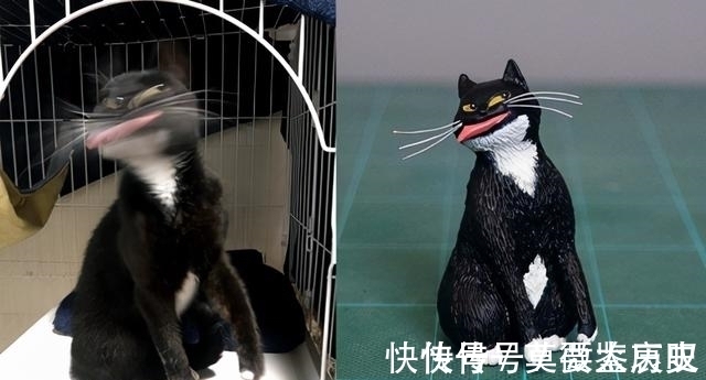 小猫|全球的猫都想屏蔽这个日本人,他到底做了多少沙雕手办?