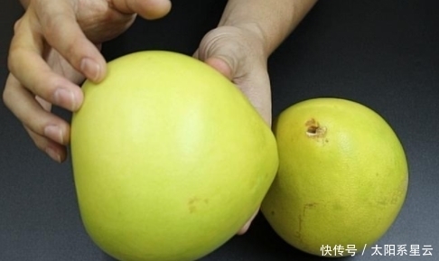 柚子该买圆的还是尖的?一位果农说漏了嘴,看完很容易买到甜柚子