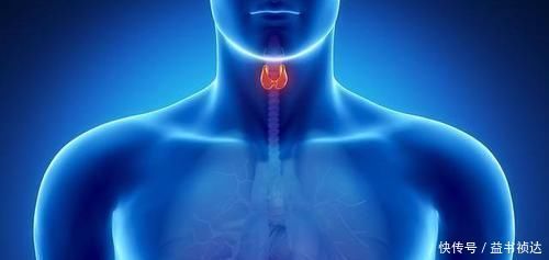 中年|甲状腺结节可以自愈吗忠告四物最好少碰,忍住的人结节散得快
