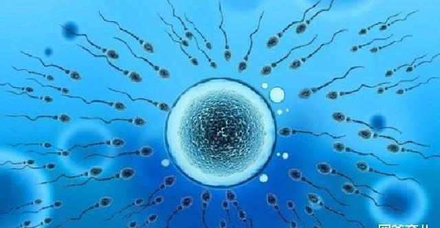 危险期|什么是“前七后八”安全期和危险期不要再弄错了，难怪怀不上