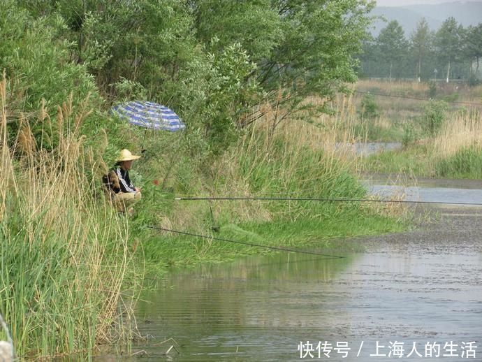 鱼饵|没想到鸡蛋也能用来做鱼饵,而且钓鱼效果那么好