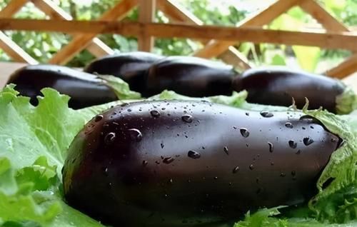 茄子这吃法太香了，我家一周吃6次，上桌就抢光，营养又解馋