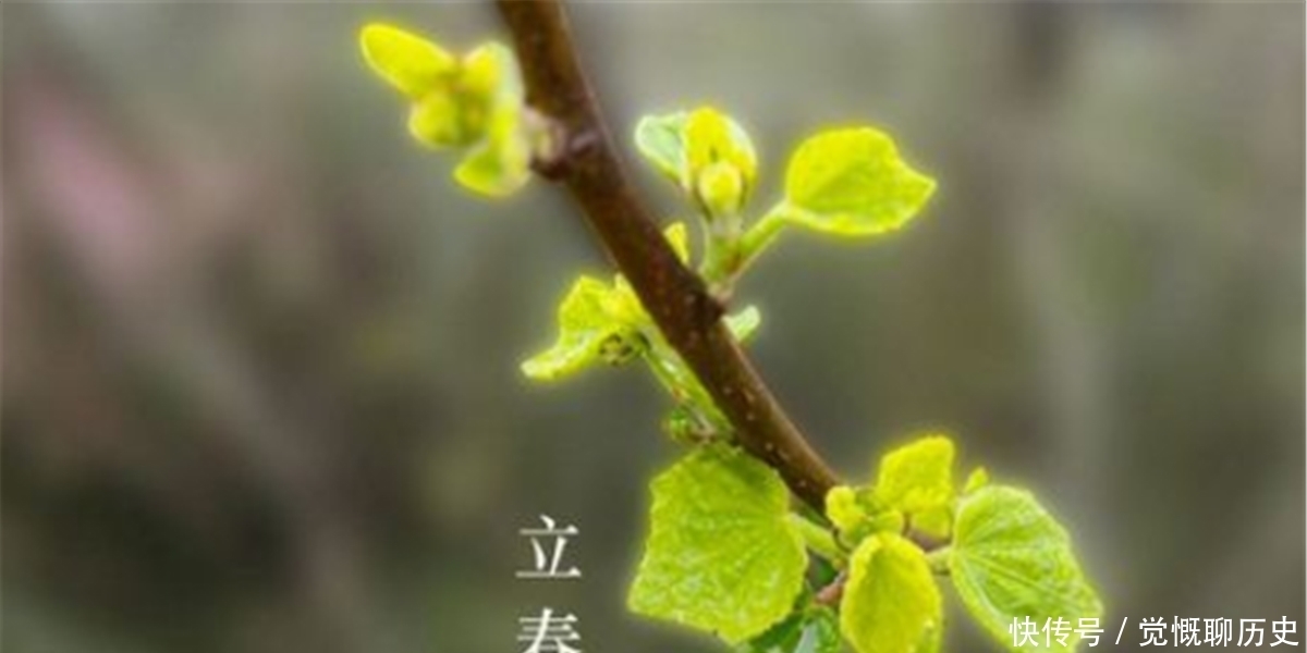  节气|俗语说：“十九年头7年寡，鼠年难逢双春年”，老祖宗智慧高深