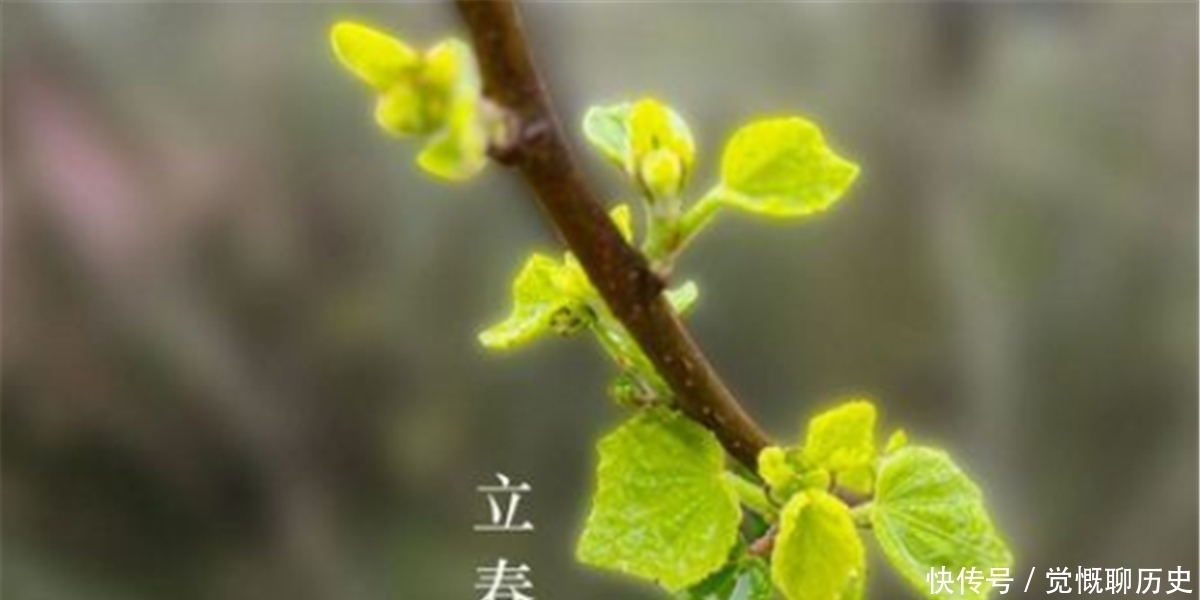 节气|俗语说:“十九年头7年寡,鼠年难逢双春年”,老祖宗智慧高深