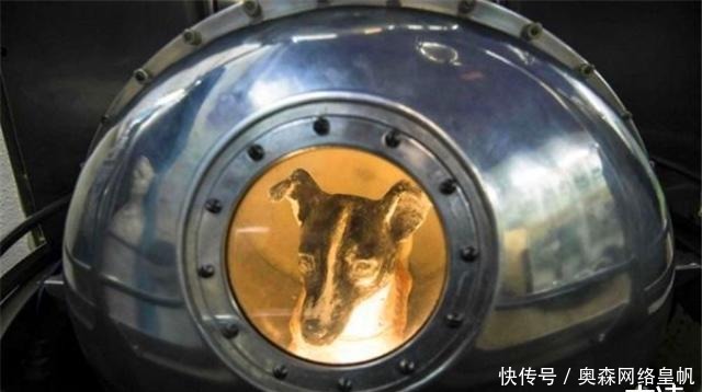 纪念碑 首个升上太空的流浪狗,至今还在宇宙,莫斯科为它设立纪念碑