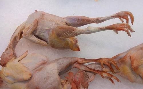 剛過55歲，稍微一摔就骨折了？專家提醒：平時(shí)要舍得吃3種肉