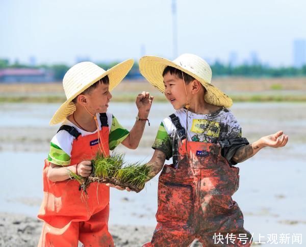 稻田|亲子下地插秧、田间搭灶做饭,还能在稻田里蛙泳……泥娃娃们,带着爸妈冲鸭
