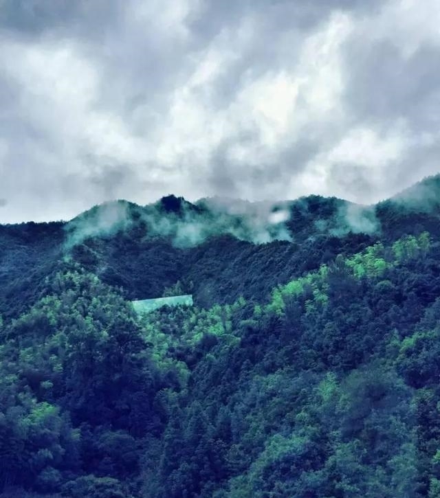 古越@他造的三把剑，一把卖出高价，一把开创历史，一把为金庸所邀