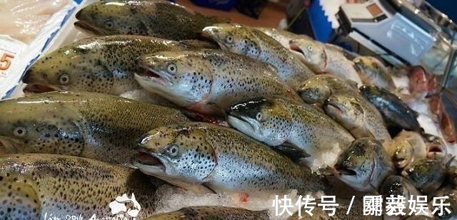 养鱼大爷说漏嘴：这4种鱼毒素堆积太多，买来浪费钱，吃了伤身体