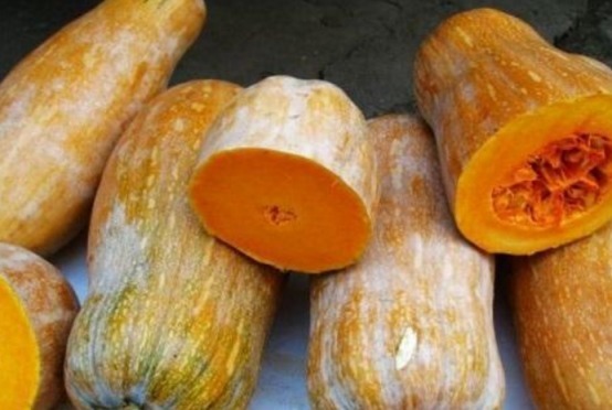 医生提醒此物和南瓜不能同吃,很多人傻傻不清楚,需知晓