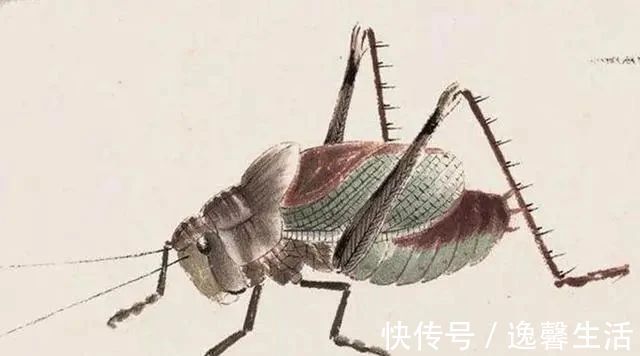 绘画作品#绘画名家齐白石,绘画作品也会被贬低,原因其实很简单