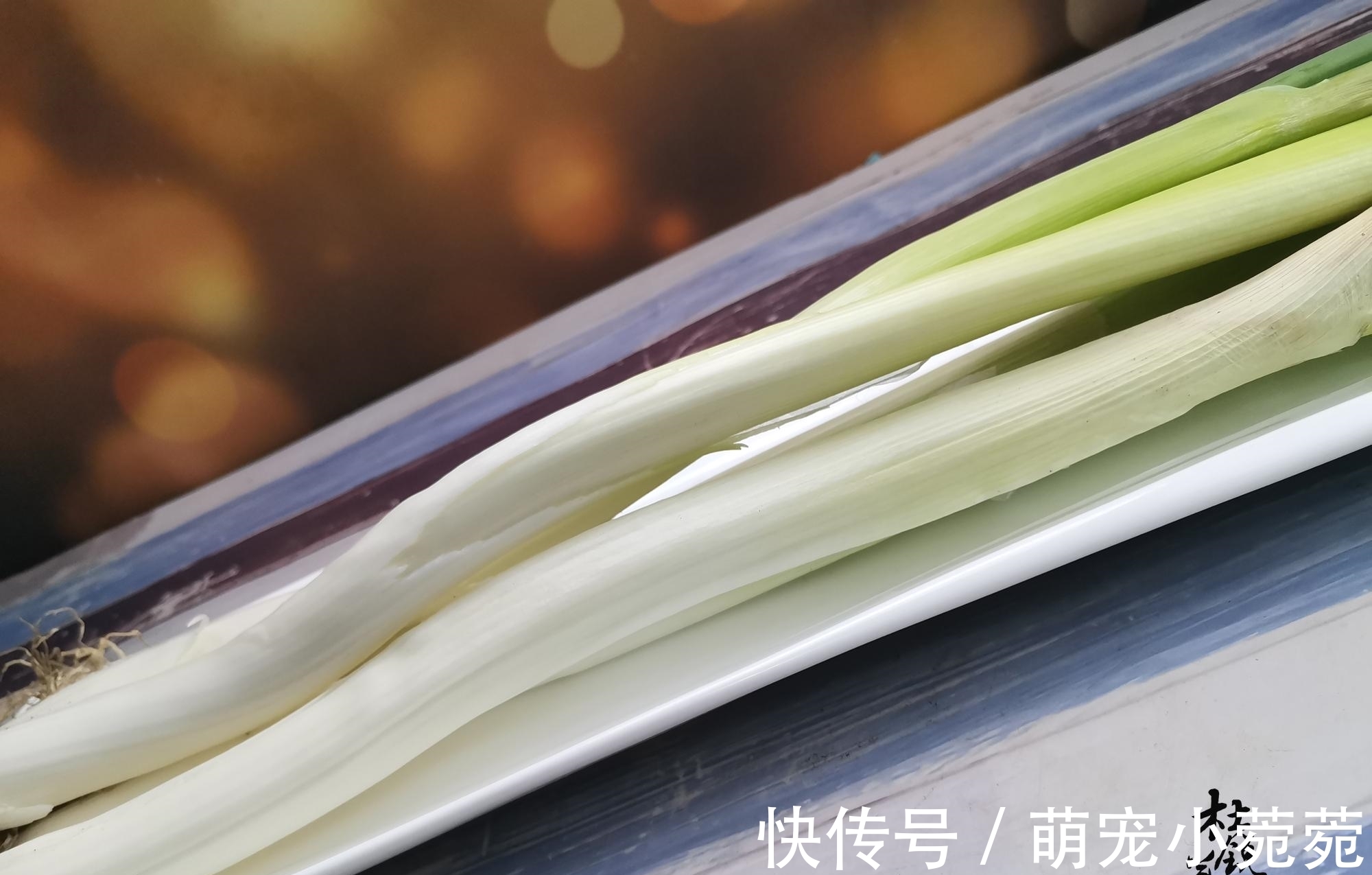 植法|大葱价格直逼十元，早知储存如此简单，便宜时囤购几捆吃一冬