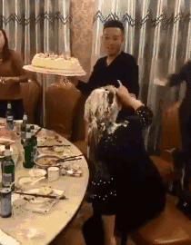 |搞笑GIF:厉害了我的大货车司机,这空调效果一定够爽的吧