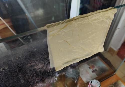  碳酸钙|怎样清除鱼缸内壁上的水垢？