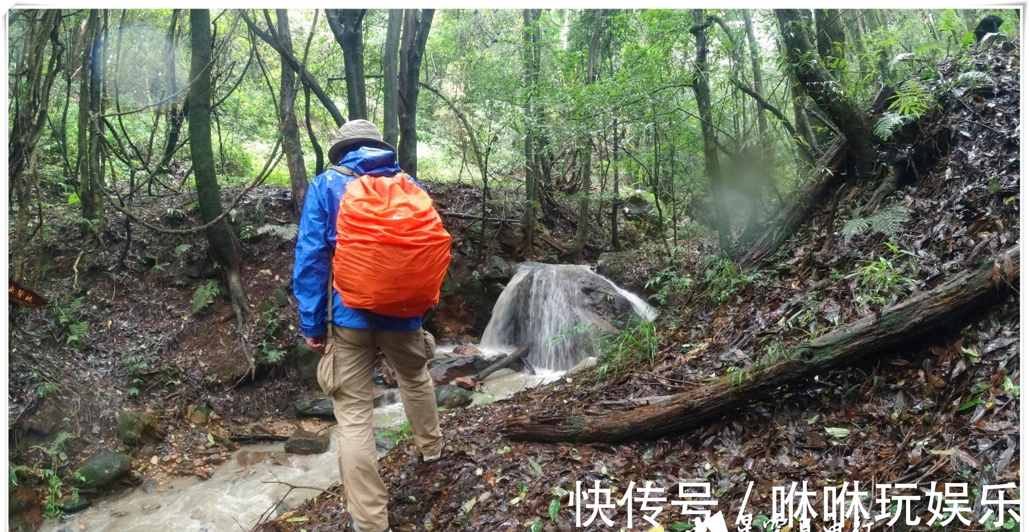 原始森林|自驾云南新平哀牢山，在雨中走茶马古道、体会马帮伙计的辛酸苦辣