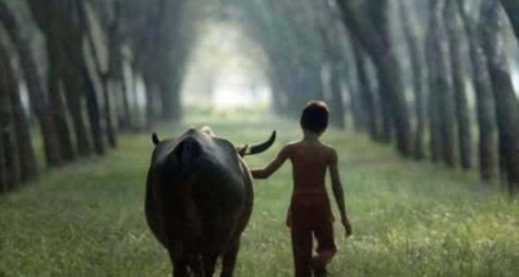 老翁&鬼谷子不懂这3句人生真言,注定难成大器!