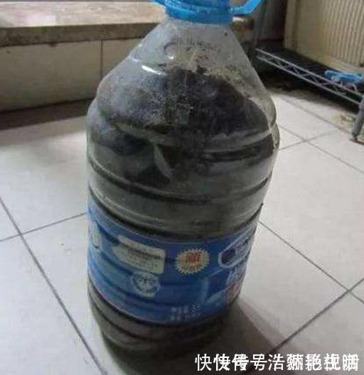 鱼鳞|花肥其实自己就能做,省钱又好用,养花效果棒