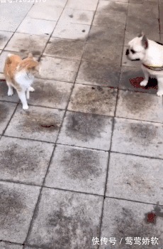 |搞笑GFI:这一看就是小情侣,要是老夫老妻的,男子早就怒了