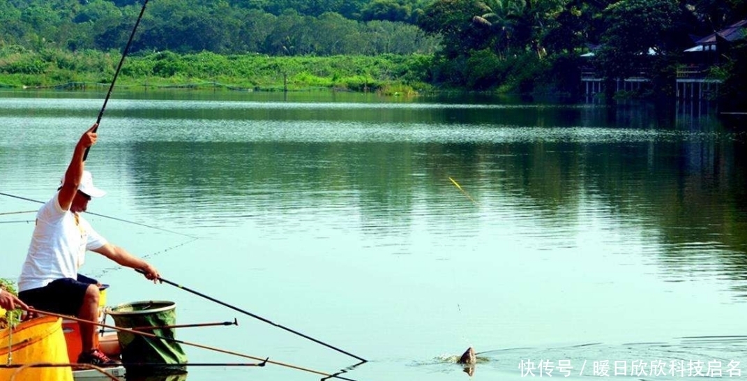 硬度|子线使用不当而导致跑鱼，真正的原因有这些，你知道吗？