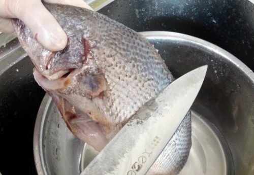 鱼肉|清蒸鱼时，有人放盐，有人放生抽，厨师长：都不放！教你正确做法