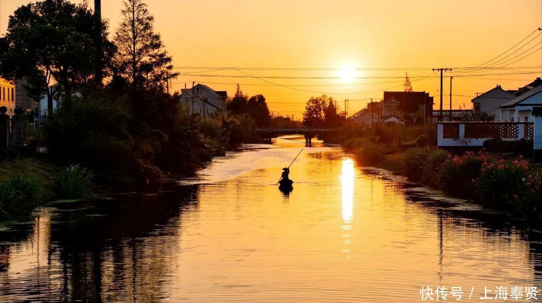 四团这个村获评“最美宅基”,美不美,看图!