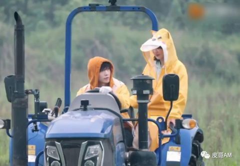 杜华|杨紫与张艺兴也太甜了吧!他们会在一起吗?