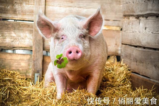 心血管疾病|以前吃猪油,为啥很少心血管疾病?现在不吃了,病却多了起来?