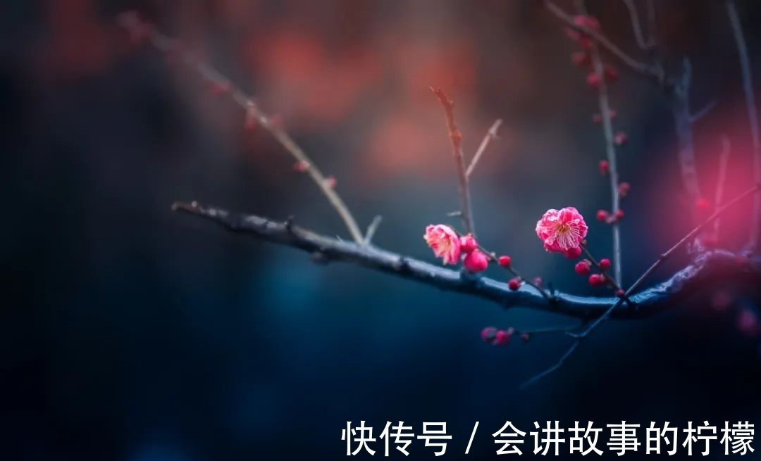 梅花#一段箫声,几处暗香